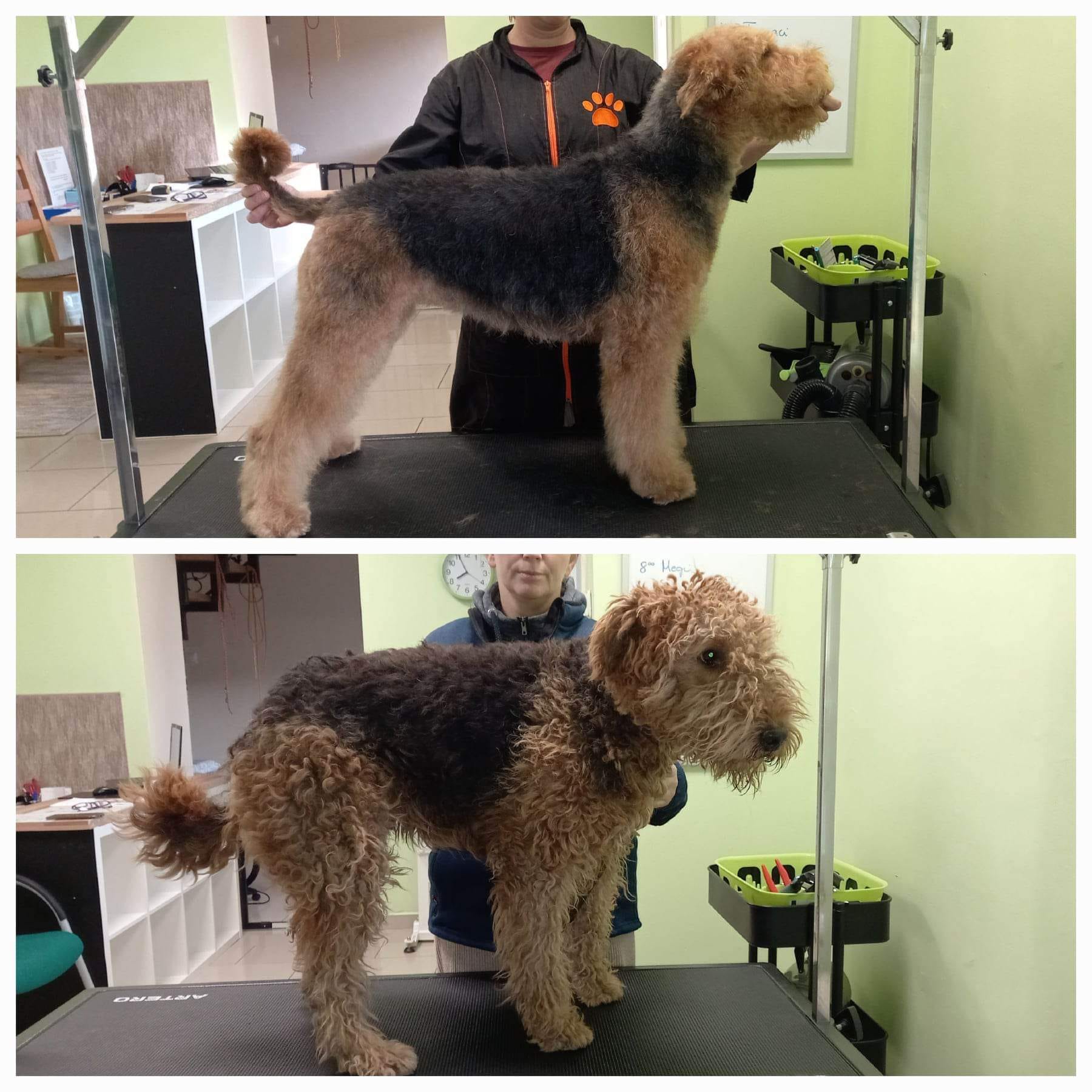 316835523_564693362331142_7635292180600650671_n