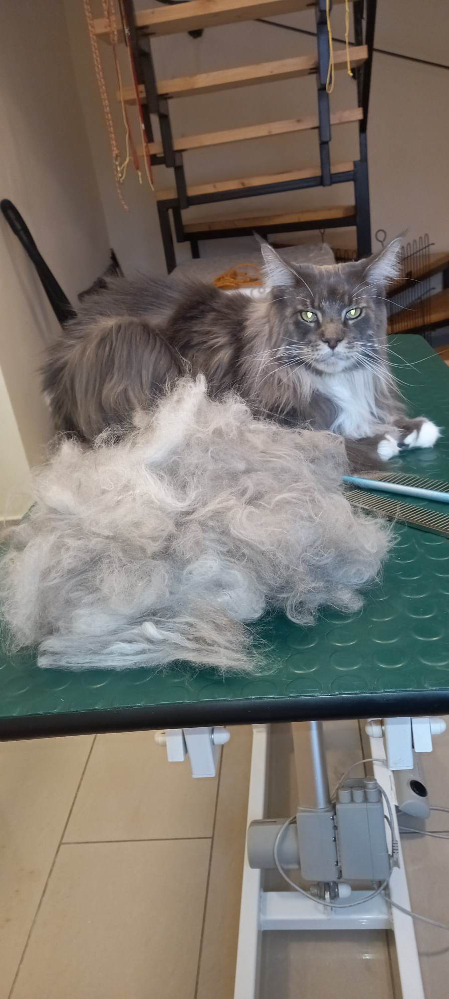 317070885_569574388509706_449081881424285307_n