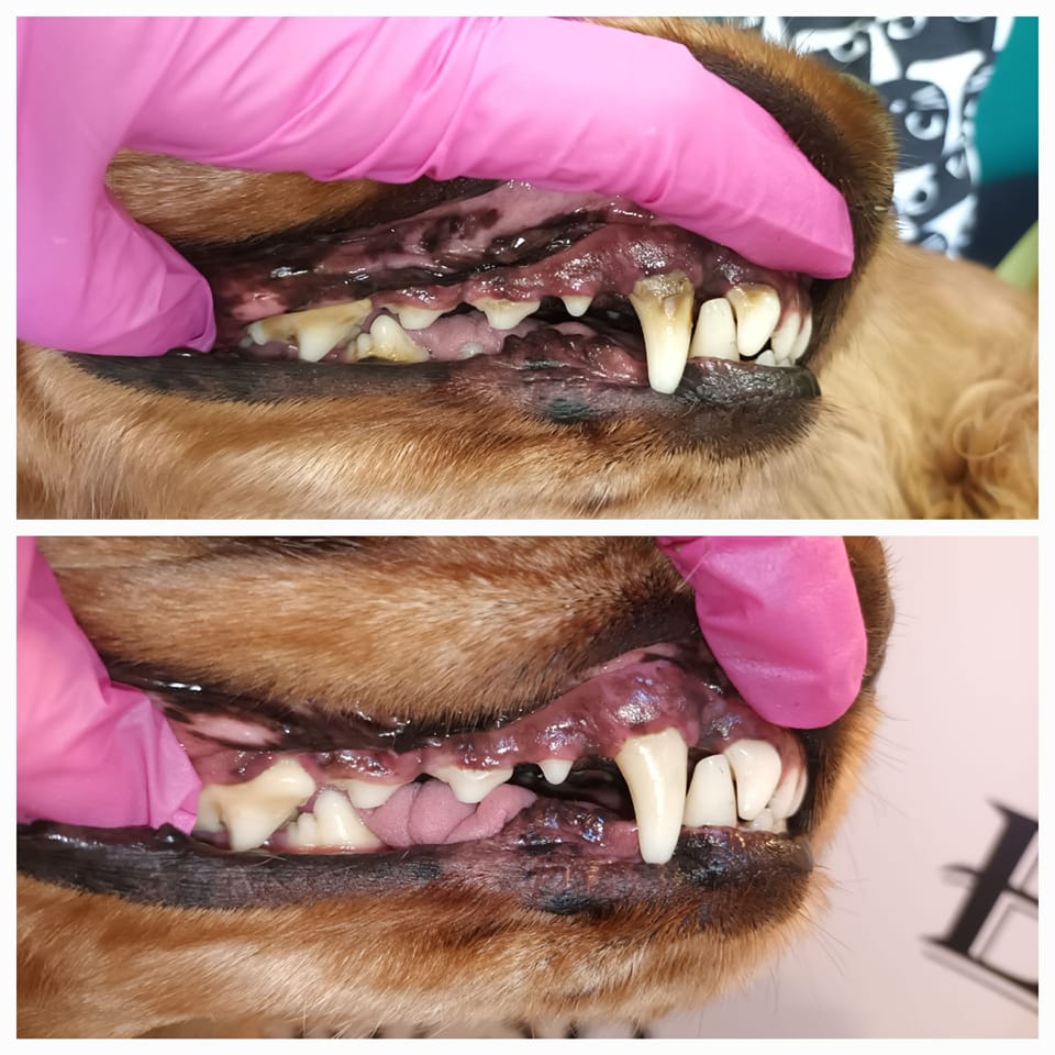 330169660_739241337530131_3018397997936251170_n