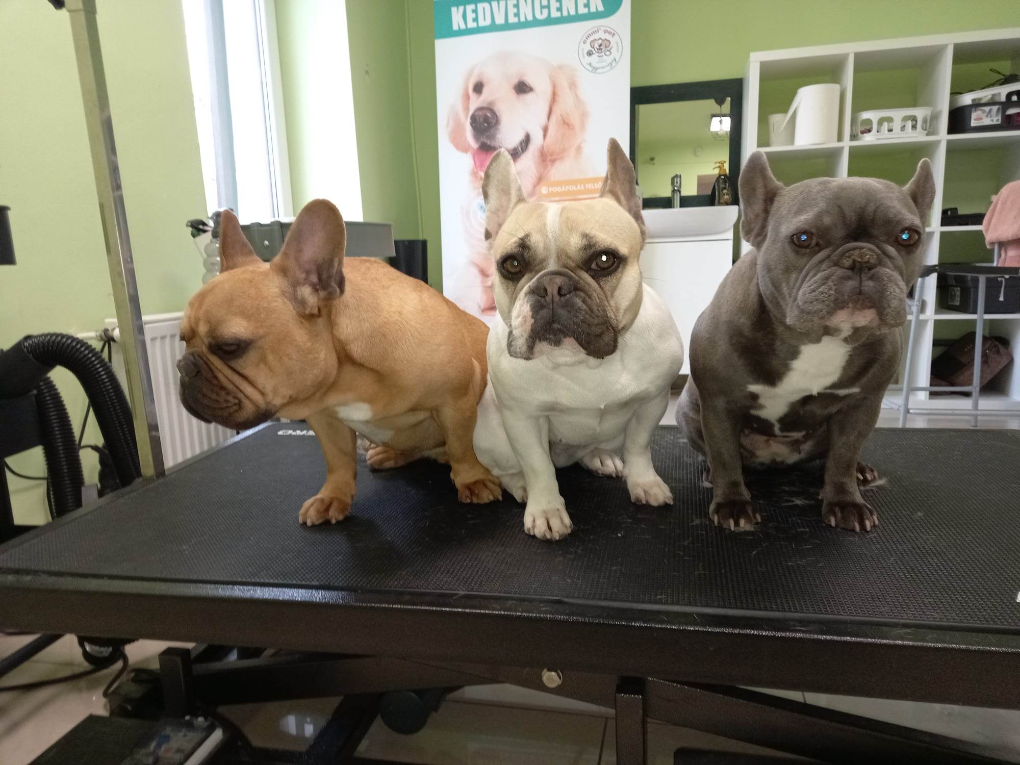 338727737_3328228344109327_93388400278409359_n