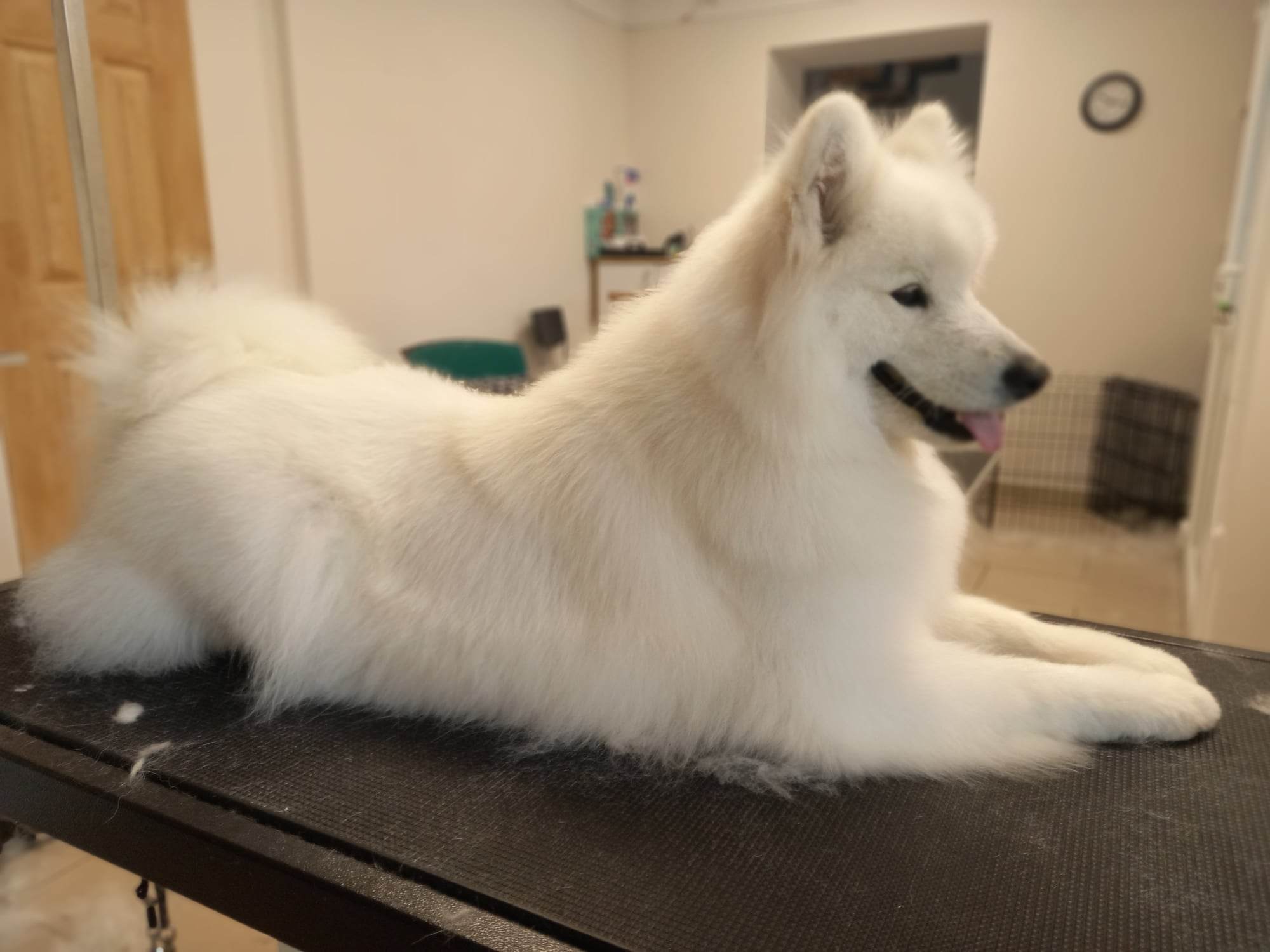 352230561_721732846627192_5676483440538797566_n