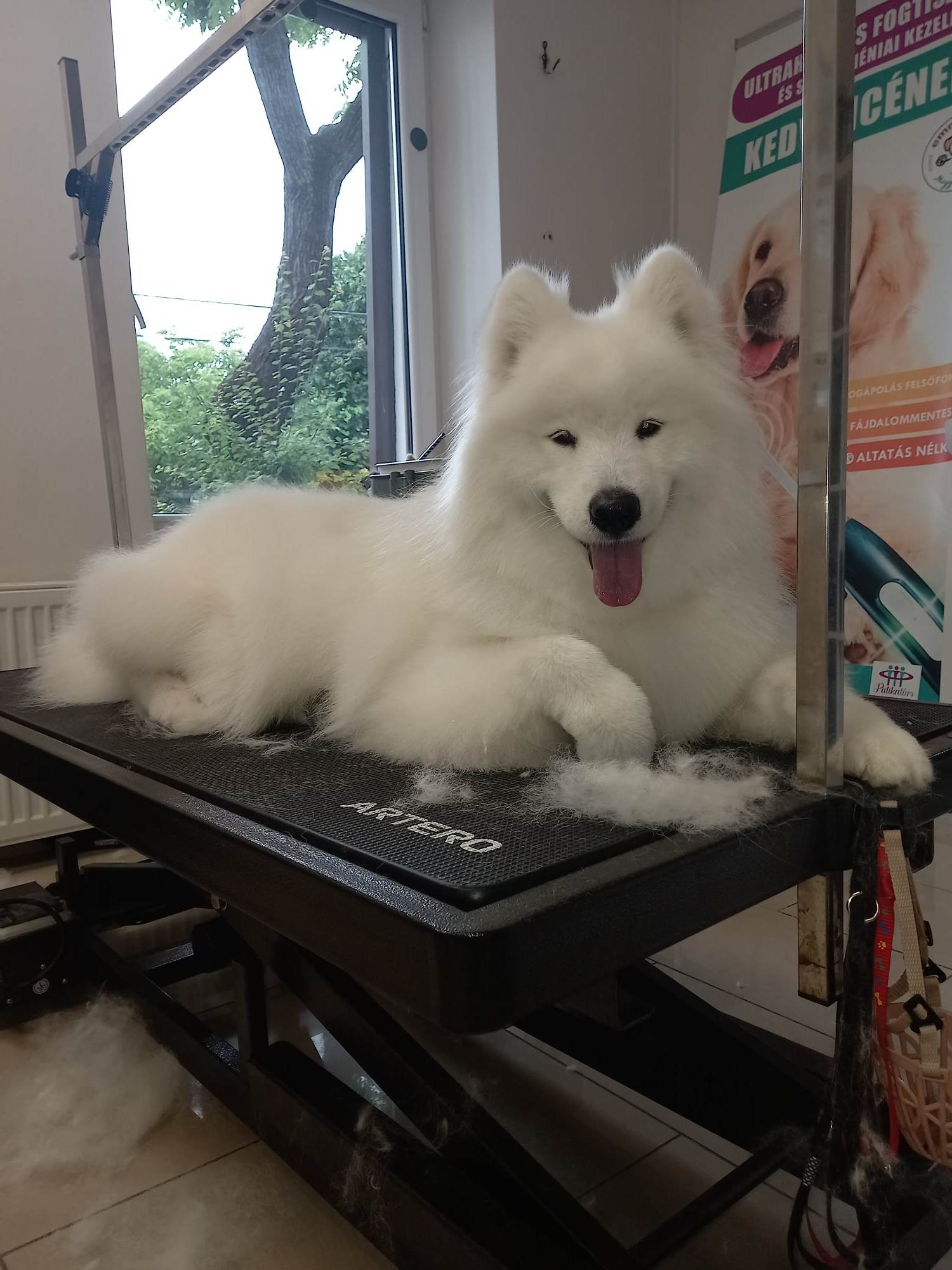 352564947_721732849960525_676225411451448338_n