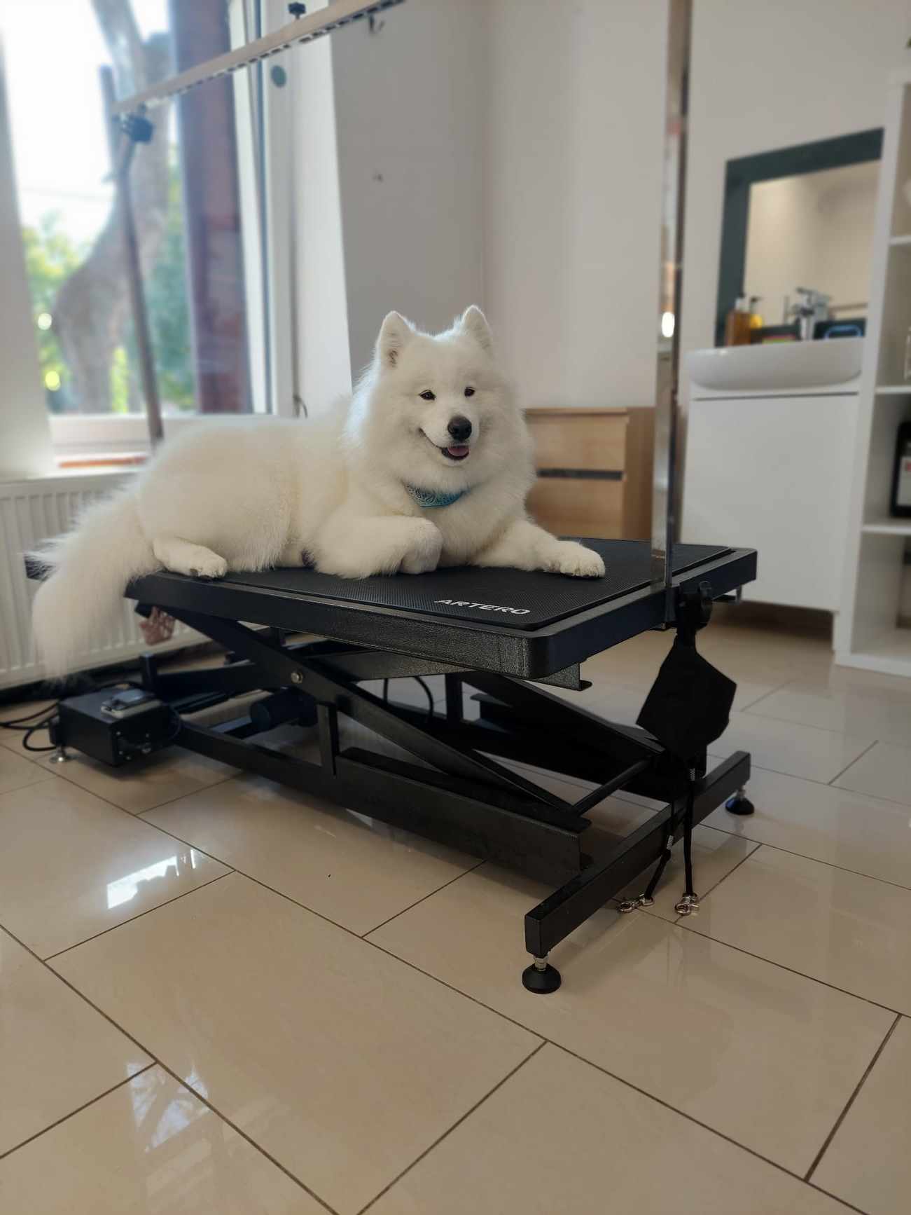 387826750_806976801436129_5205501731177950468_n